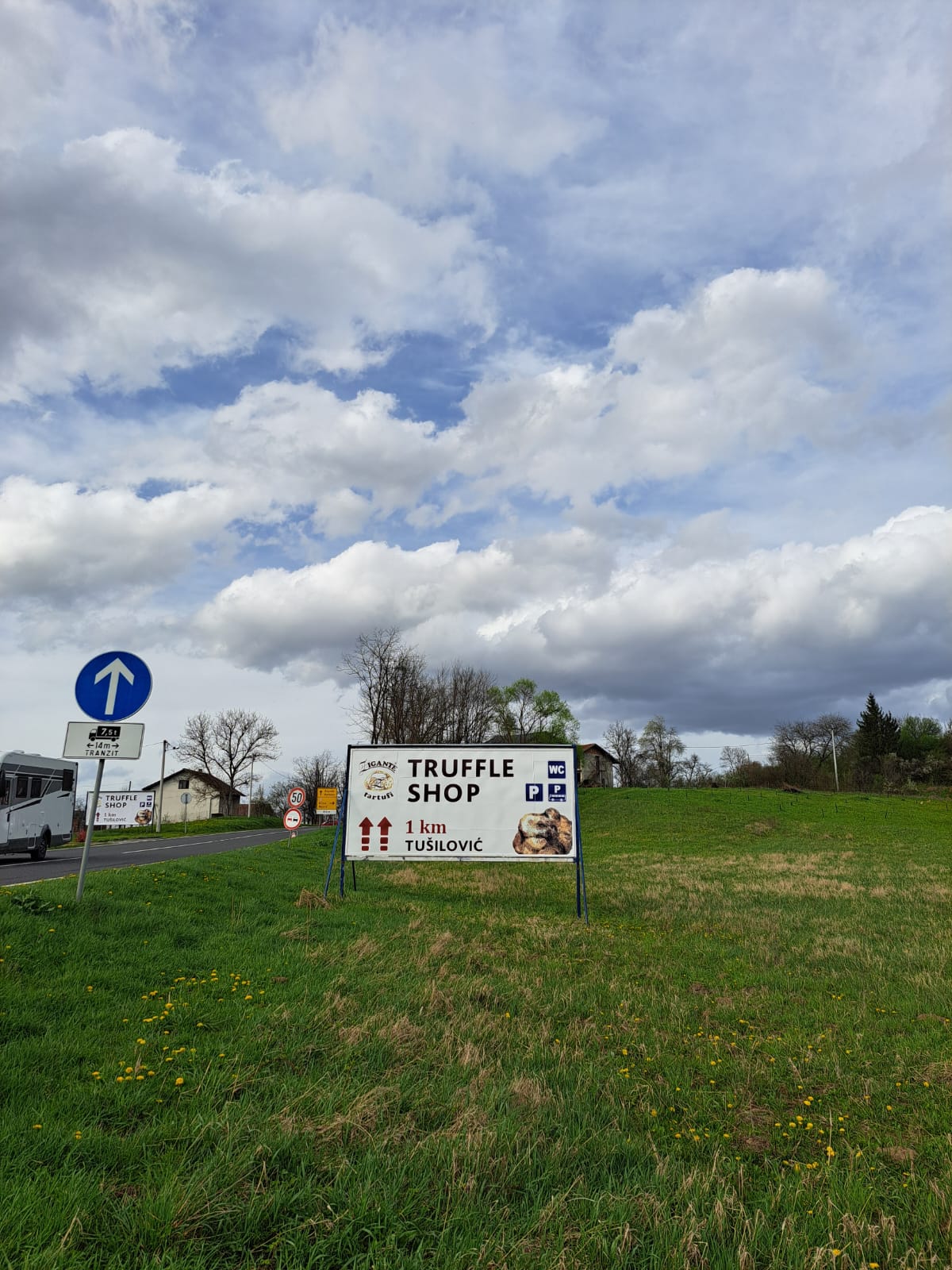 Second Image